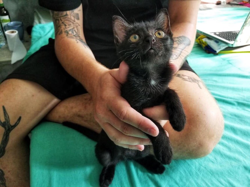 30550015_10155916854158110_526289673_o