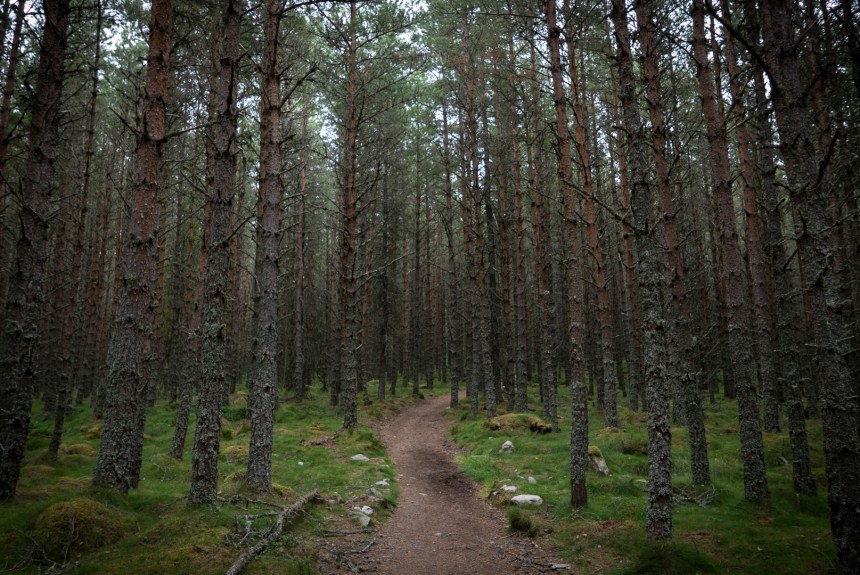 Aberdeenshire-1040538